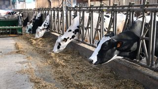 L'organisation de producteurs laitiers Ouest’Lait contractualise avec Danone et souhaite toujours négocier avec Savencia. L'organisation de producteurs laitiers Ouest’Lait contractualise avec Danone et souhaite toujours négocier avec Savencia.