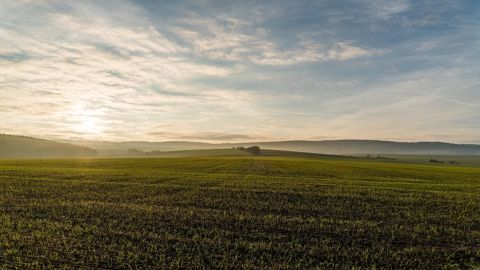Les semis devraient profiter d'une météo favorable en France.