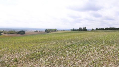 Selon un sondage Terre-net publié en septembre, la moitié des agriculteurs indique avoir recours aux analyses organobiologiques de sol.