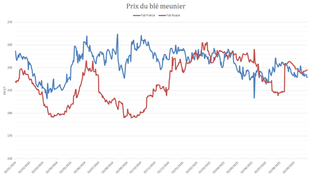 Les cours du blé en Russie ont rapidement perdu en compétitivité.