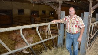 « En 2024, les 372 fermes engagées dans la filière Veau de l'Aveyron et du Ségala ont produit 13 000 animaux labellisés », explique Pierre Cabrit, éleveur et président de l’interprofession. « En 2024, les 372 fermes engagées dans la filière Veau de l'Aveyron et du Ségala ont produit 13 000 animaux labellisés », explique Pierre Cabrit, éleveur et président de l’interprofession.