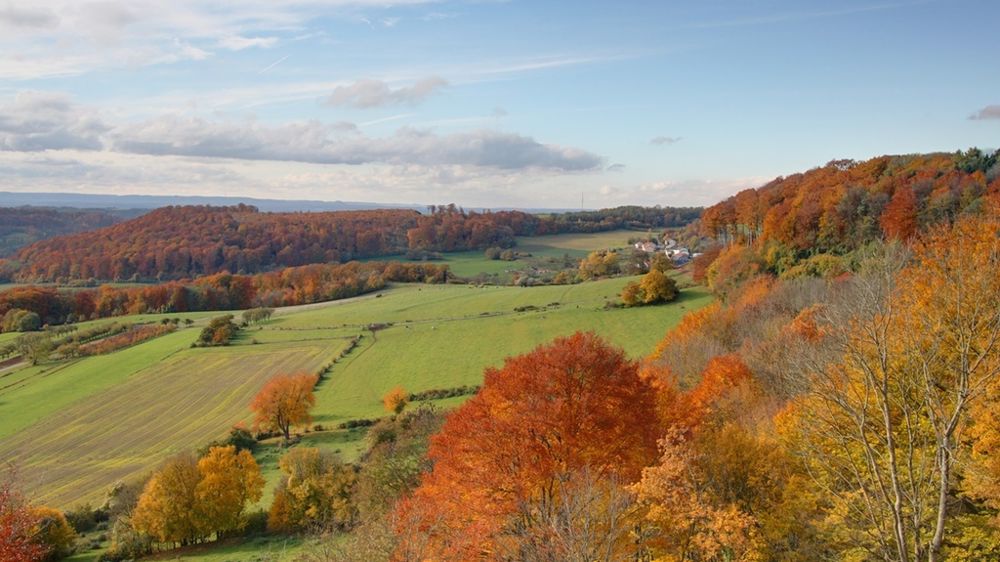 Paysage automne