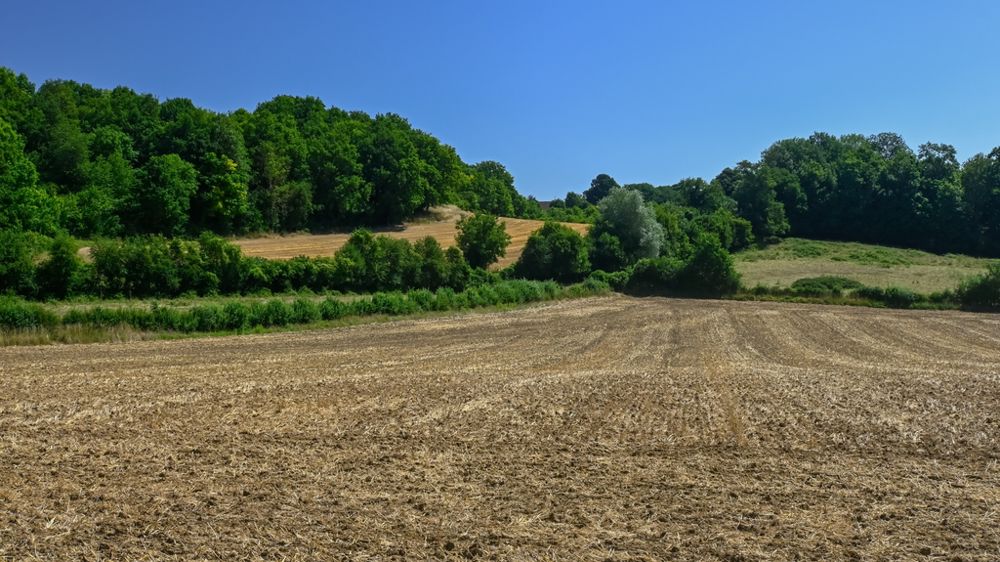 La reprise sexennale permet au bailleur de reprendre ses terres plus tôt à certaines conditions.
