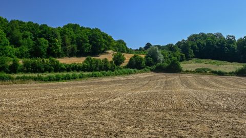 La reprise sexennale permet au bailleur de reprendre ses terres plus tôt, à certaines conditions.