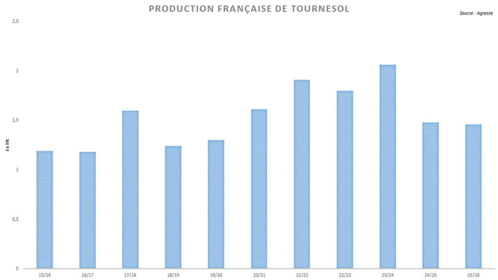 La récolte de tournesol risque de rester limité cette année. La récolte de tournesol risque de rester limité cette année.