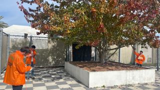 Une partie du concours de reco 2025 s’est déroulée en extérieur sur plantes adultes, au cœur du parc Terra Botanica…