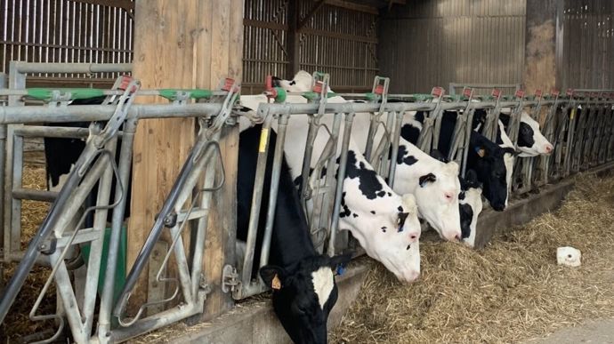 Le retour au bâtiment est l'occasion de faire le point sur la saison de pâturage, et d'évaluer la croissance des animaux.