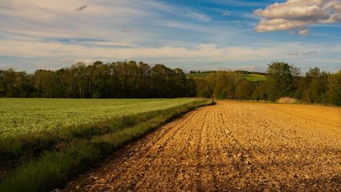 Quelles sont vos obligations vis à vis de la Safer quand vous vendez une parcelle agricole ? Quelles sont vos obligations vis à vis de la Safer quand vous vendez une parcelle agricole ?