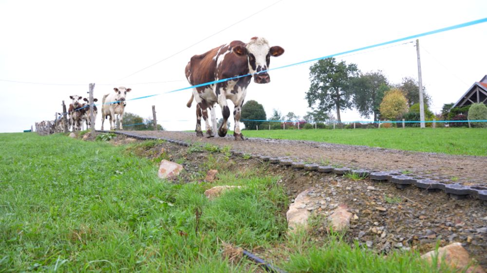 Au Tanu, des chemins stabilisés pour faciliter le travail à la ferme