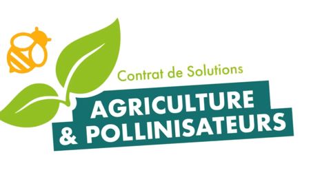 Des pollinisateurs à tout bout de champ
