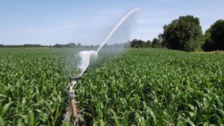 Selon les prévisions d'Arvalis en date du 14 octobre 2025, le rendement national du maïs grain irrigué est de 110 q/ha. Selon les prévisions d'Arvalis en date du 14 octobre 2025, le rendement national du maïs grain irrigué est de 110 q/ha.
