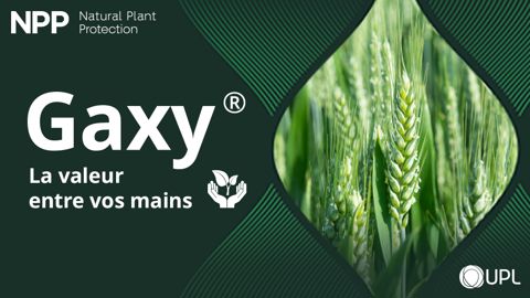 GAXY® : la nouvelle solution pour valoriser l’azote et maîtriser les émissions