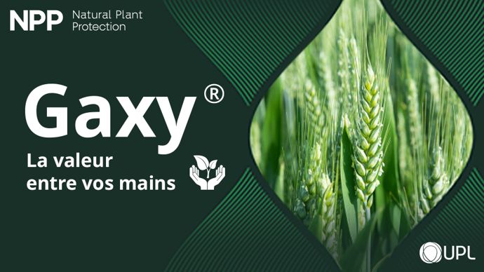 GAXY® : la nouvelle solution pour valoriser l’azote et maîtriser les émissions