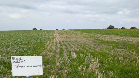 La plateforme d'essais de Vineuil est conduite en conditions agriculteur, et va aller jusqu'à la récolte de l'orge d'hiver. La plateforme d'essais de Vineuil est conduite en conditions agriculteur, et va aller jusqu'à la récolte de l'orge d'hiver.