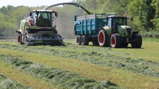 Ensilage d'herbe Ensilage d'herbe