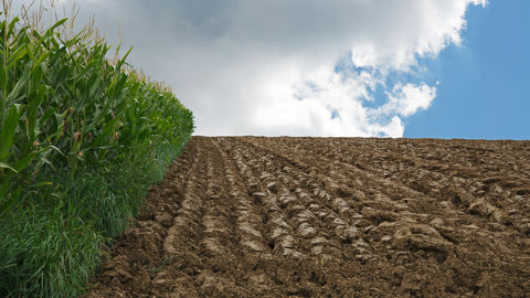 Le vrai dilemme, ce n’est pas de labourer ou pas. C’est de continuer à le faire comme avant, sans jamais remettre ses pratiques en question. Le vrai dilemme, ce n’est pas de labourer ou pas. C’est de continuer à le faire comme avant, sans jamais remettre ses pratiques en question.