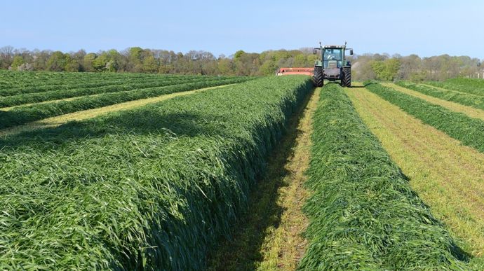 Face à la recherche d’autonomie protéique et à la hausse du coût des intrants, les associations de céréales et légumineuses apparaissent comme une voie d’avenir pour les dérobées d’hiver. Face à la recherche d’autonomie protéique et à la hausse du coût des intrants, les associations de céréales et légumineuses apparaissent comme une voie d’avenir pour les dérobées d’hiver.