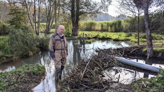 Christian Renaudin, céréalier avec son épouse Karine à Sivry-sur-Meuse, devant un barrage de castors qu’il a seulement le droit d’écrêter après l’autorisation de l’OFB. Christian Renaudin, céréalier avec son épouse Karine à Sivry-sur-Meuse, devant un barrage de castors qu’il a seulement le droit d’écrêter après l’autorisation de l’OFB.