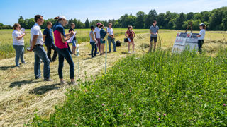 Certains organismes de formation voient toutes leurs demandes de financement rejetées pour la fin de l'année.