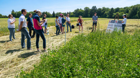 Certains organismes de formation voient toutes leurs demandes de financement rejetées pour la fin de l'année.