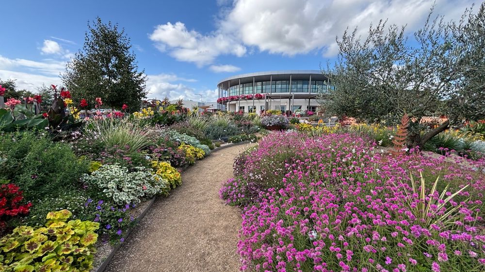 Le distributeur de semences et de plants adapte son nom et son identité visuelle pour poursuivre son développement à l’international. Graines Voltz devient simplement Voltz. Ici, les Summer Trials sur le site des Ponts-de-Cé.