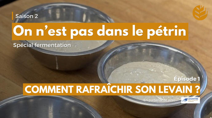 “On n’est pas dans le pétrin” : découvrez le premier épisode de la saison 2 - Vidéo