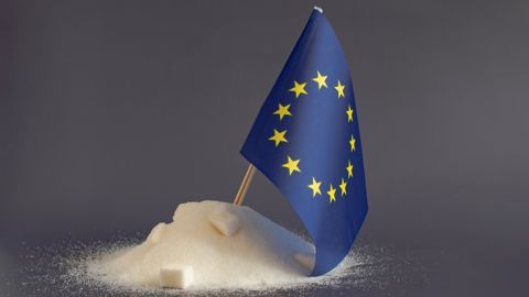 Selon les projections de la Commission européenne, la production de sucre de l'UE atteindrait 15,3 Mt en 2035.
