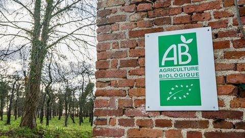 Les cantines servent plus d'un milliard de repas chaque année en France.