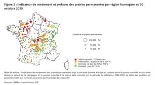 Indicateur de rendements et surfaces des prairies permanentes par région fourragère au 20 octobre 2025.