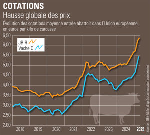 Prix des vaches et des jeunes bovins dans l'Union européenne