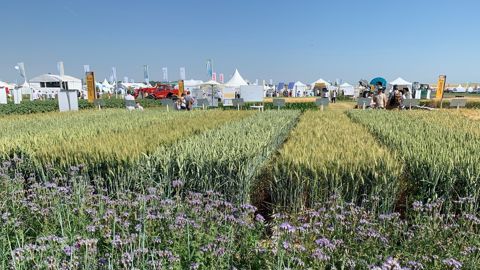 Arvalis attend 15 000 visiteurs au salon des Culturales en 2027.