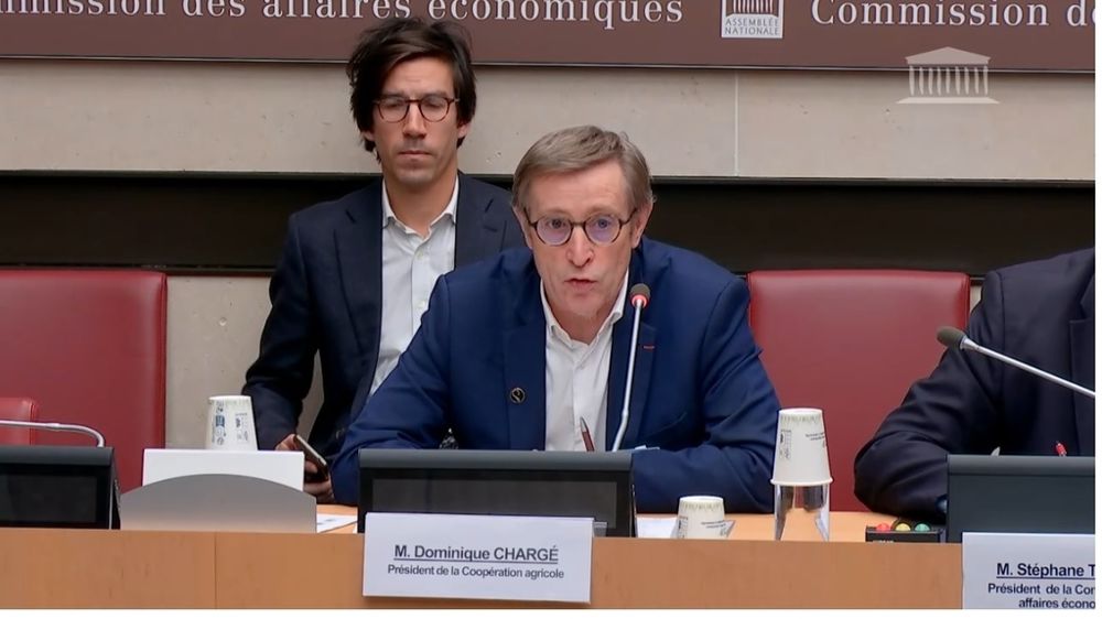 « La taille n'est pas un objectif, c'est la conséquence de l'évolution du monde dans lequel nous sommes », a déclaré Dominique Chargé, président de La Coopération agricole, mercredi 12 novembre à l'Assemblée nationale.