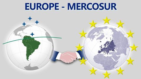 Le traité Mercosur sera examiné par les 27 Etats membres de l'UE en décembre.