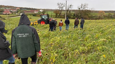 Le groupe Apad 62 regroupe 12 agriculteurs, dont 8 sont en agriculture de conservation et les autres y réfléchissent.