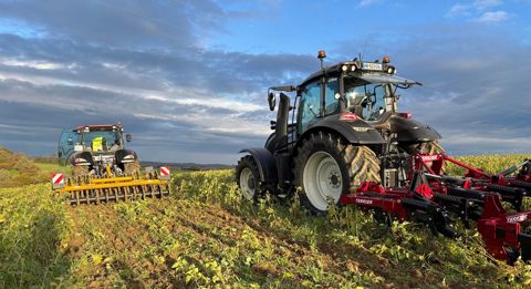 Fissurateurs dans un couvert multi-espèces