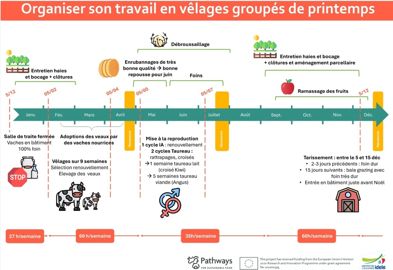 Organisation du travail en vêlages groupés de printemps ferme du Bois
