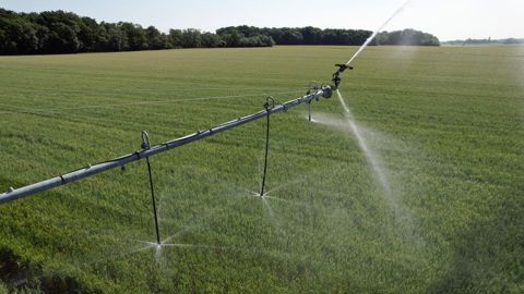 « L'objectif absolu est de mobiliser davantage de ressource pour l'eau d'irrigation », a introduit Franck Laborde, président de l'AGPM, à l'assemblée générale des Irrigants de France.