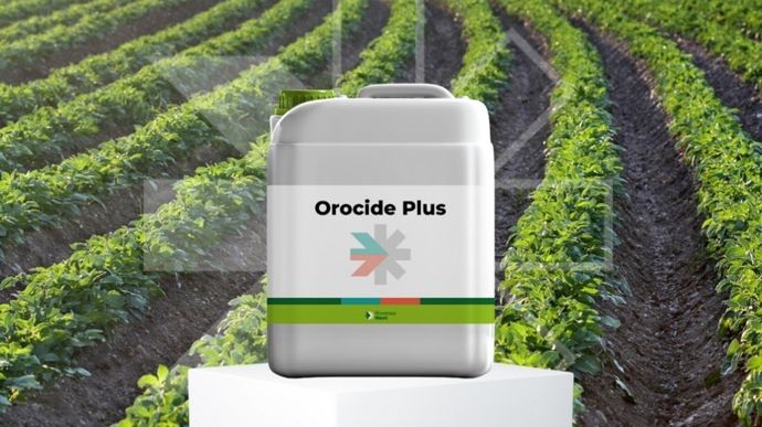 Orocide Plus, de Rovensa Next, est un fongicide de biocontrôle à base d’huile essentielle d’orange, ciblant le mildiou de la pomme de terre.