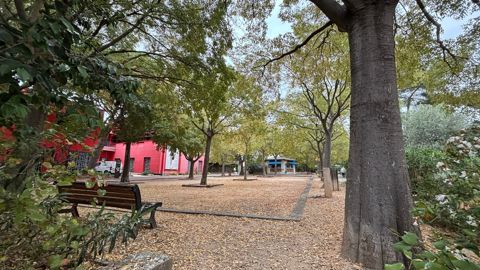 La journée végétale urbaine est proposée pour se questionner sur l’ensemble des strates végétales, sur leur complémentarité dans les écosystèmes urbains, et leur capacité à répondre aux enjeux de sol et de climat.