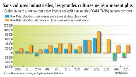 Résultat courant avant impôt par actif non salarié des exploitations spécialisées en céréales oléagineux grandes cultutres et cultures industrielles
