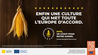 Production de semences : quelles évolutions face au climat d’ici 2100 ?