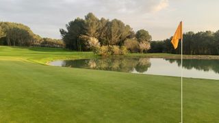 Les pelouses sportives ne sont pas des pelouses d’agrément ni des champs d’herbes. Elles nécessitent un gazon dense vigoureux résistant à l’arrachement. Ce sont des milieux très artificialisés, soumis à des conditions stressantes et dépendant de l'intervention humaine. Le passage au zéro phyto ne peut donc pas reposer sur la création d'équilibres écologiques comme dans d'autres espaces verts, ni sur une simple logique de substitution de produits.