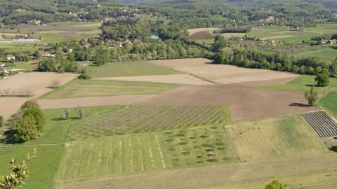Comment sécuriser l'accès à une parcelle agricole enclavée ?