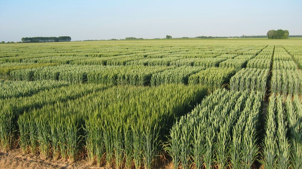 L'Union européenne trouve un accord sur les NGT