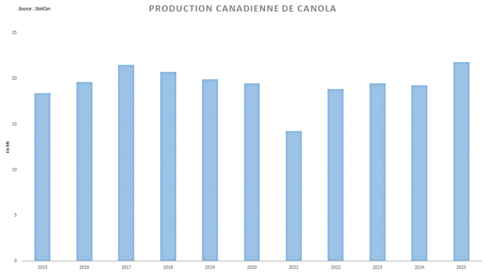 StatCan estime la production canadienne de canola à un niveau record.