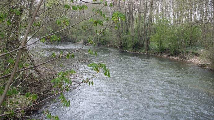 Rivière