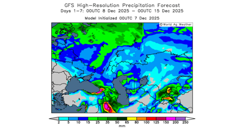 Les pluies dans le Sud de de la Russie risquent d'être insuffisantes.