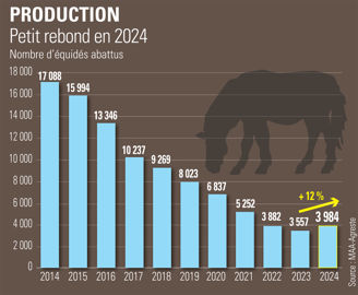 Nombre d'équidés abattus en France Nombre d'équidés abattus en France