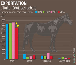 Exportations françaises d'équidés Exportations françaises d'équidés