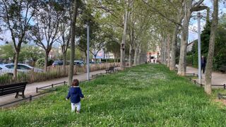 Valhor et Verdir publient leur manifeste à destination des élus et décideurs publics afin d’ancrer le végétal dans les politiques publiques.